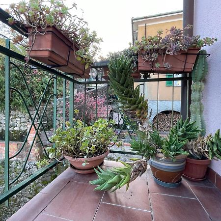 Tra Alpi Apuane E Cinque Terre.. Casetta Renata! Villa Valeriano Lunense Екстериор снимка