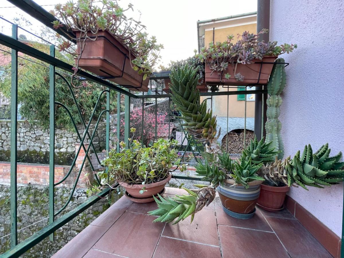 Tra Alpi Apuane E Cinque Terre.. Casetta Renata! Villa Valeriano Lunense Екстериор снимка